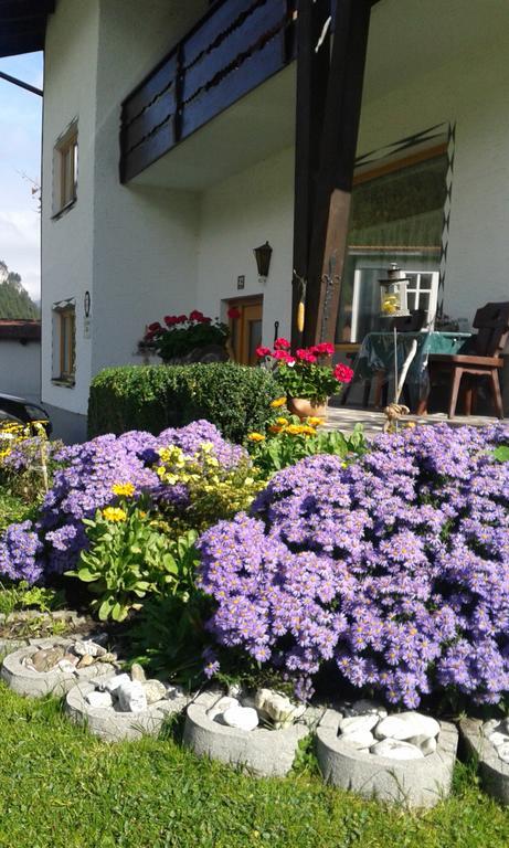 Haus Mueller