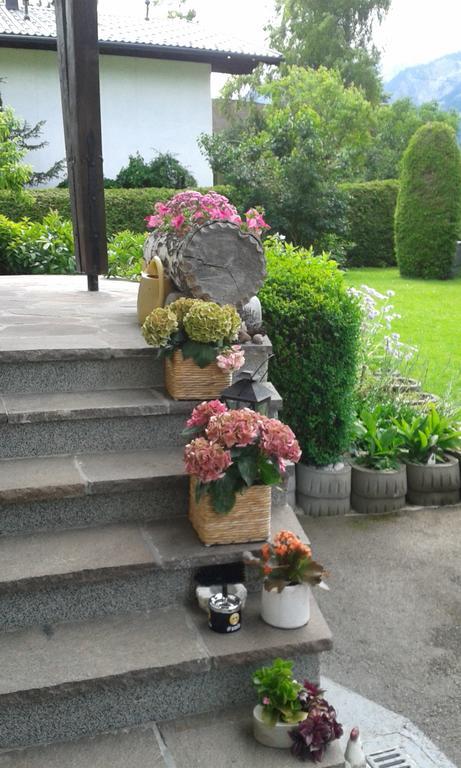 Haus Mueller
